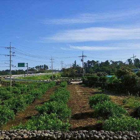 Orchard Samdal Villa Seogwipo Eksteriør billede